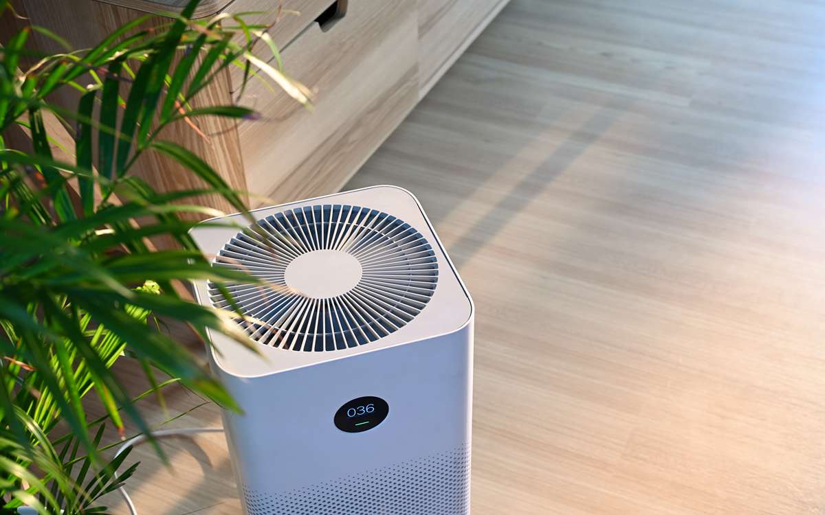 Manfaat Air Purifier untuk Kesehatan dan Kualitas Hidup di Rumah